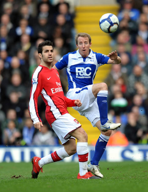 了职业生涯 了职业生涯